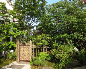 H邸 雑木の苔庭タイトル画像