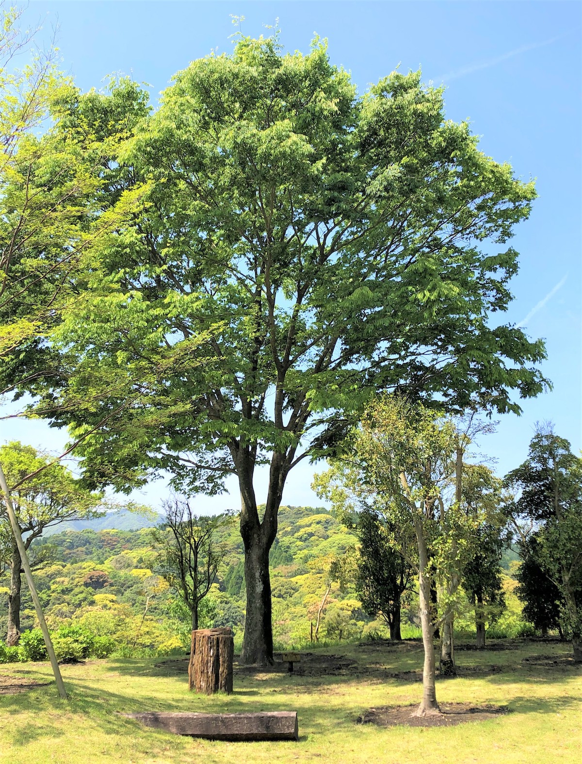 桂花園タイトル画像