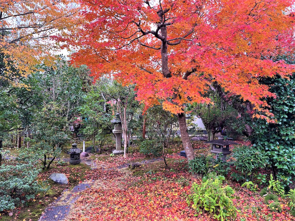 紅の庭景タイトル画像